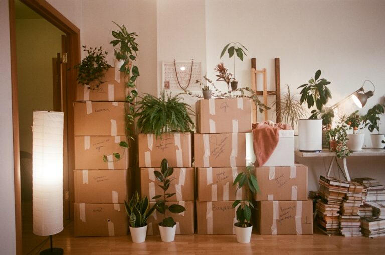 How to Pack Your Home Like a Pro